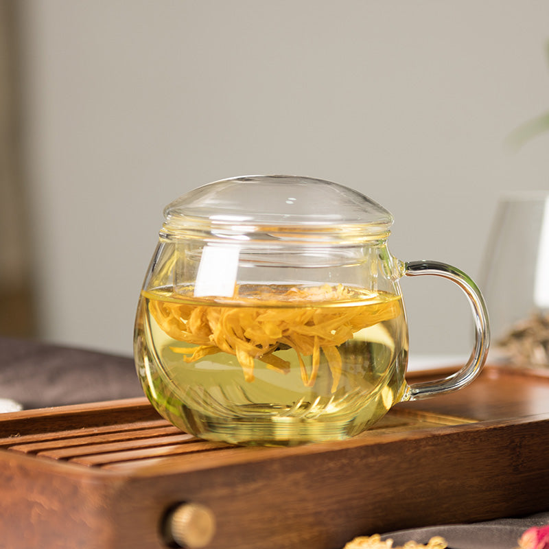 Glass Infuser Mug with Strainer and Lid - 100% Glass