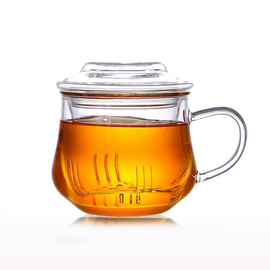 Glass Infuser Mug with Strainer and Lid - 100% Glass
